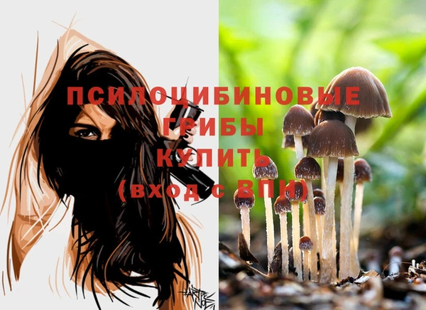spice Михайловка