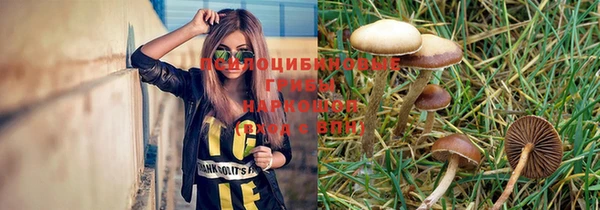 соль ск Михайлов
