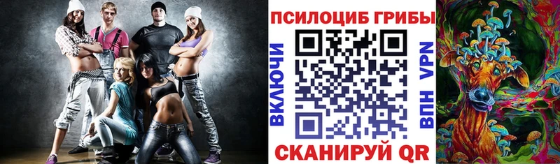 где продают наркотики Яровое Псилоцибиновые грибы MAGIC MUSHROOMS